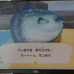 7/27PCモニターの画像