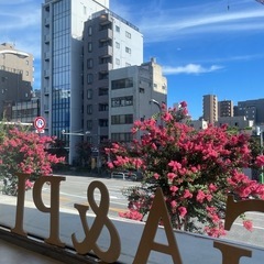  【メディア掲載】台東区のおすすめヨガ＆ピラティスに選ばれました❣️✨40代・50代の方に人気の少人数制スタジオ《体験OK》の画像