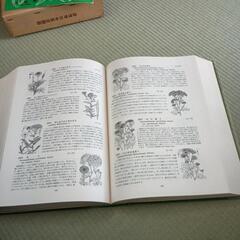 牧野さんの新日本植物図鑑の画像