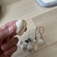 オーストラリアの貝殻　キーホルダーの画像