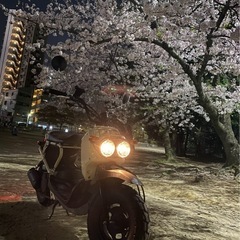 ズーマーの画像