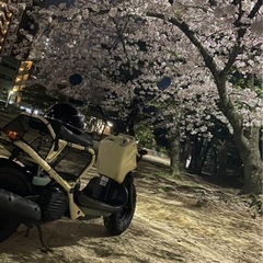 ズーマーの画像