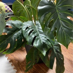 観葉植物　造花
の画像