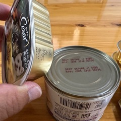 ドッグフード
の画像