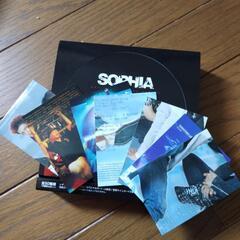 SOPHIA　オフィシャルトレーディングカードの画像