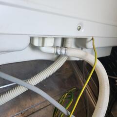 TOSHIBA 食器洗い乾燥機 DWS-600C-C（プラチナベージュの画像