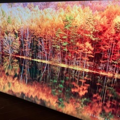ハイセンス Hisense 55型 テレビ 55U7E 縦ブレ 訳ありの画像