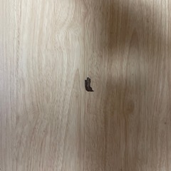 ダイニングセット（テーブル&椅子2脚）の画像