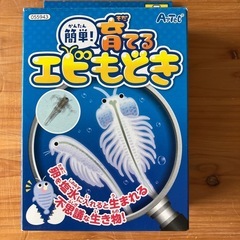 育てるエビもどき、ブロックエックスの画像