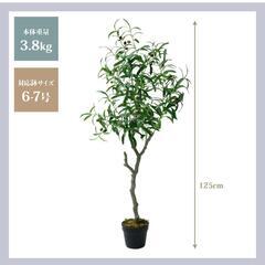 【ご成約】619fk 【未使用品・開封品】山善(YAMAZEN) フェイクグリーン 人工観葉植物 観葉植物 インテリア オフィス おしゃれ 癒し FG-OLIV55 オリーブ  y072406fkの画像