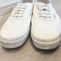 31cm　Vans ホワイト ローカット スニーカーの画像