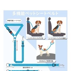 ドライブシートの画像