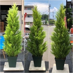 ゴールドクレスト フェイクグリーン 造花 インテリア 分割可能の画像
