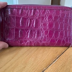 MIU MIU ミュウミュウ長財布　クロコダイル風レザーの画像