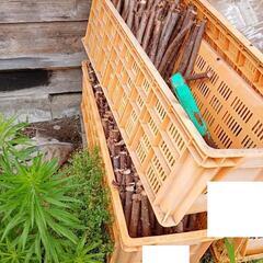 廃材、薪、剪定枝等の画像