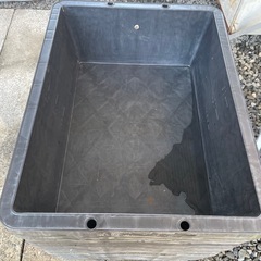 プラブネの画像