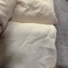 シーツたくさん
の画像