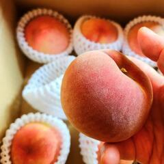 伊達市の桃(本日限り)の画像