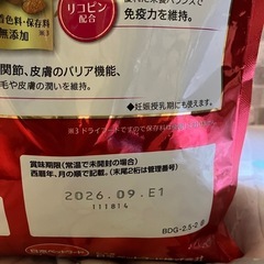 ビューティープロ　子犬　の画像