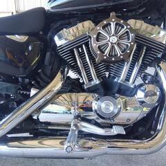 ハーレーダビッドソン　XL 1200 C スポーツスターの画像