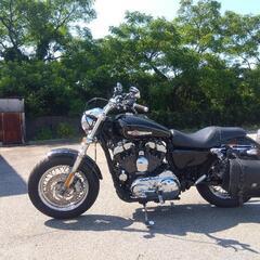 ハーレーダビッドソン　XL 1200 C スポーツスターの画像