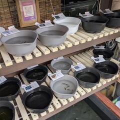 新鮮生クロレラ　90ミリ　500円　Googleマップ「アメシンメダカ」で検索👍　宜野湾市大謝名小学校の裏門前
の画像