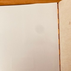スタジオマリオ　増やせるアルバム　ブラウンの画像