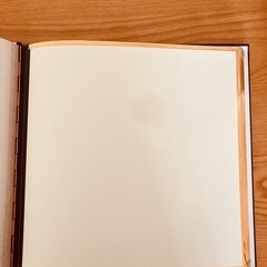 スタジオマリオ　増やせるアルバム　ブラウンの画像