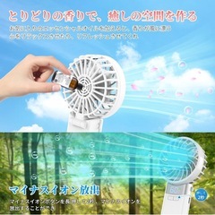 【新品未使用】ハンディファン 冷却プレート付き アロマ対応の画像