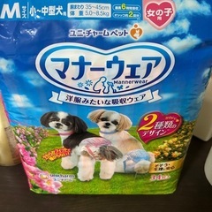 犬のオムツの画像