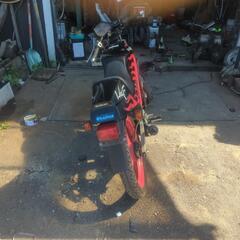 WOLF50 HYPER SPORTSの画像