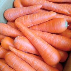 人参🥕1キロ150円①の画像