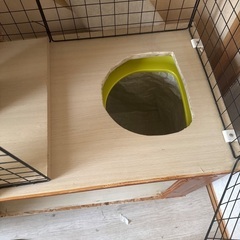 猫ゲージの画像