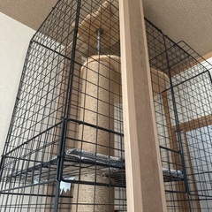 猫ゲージの画像