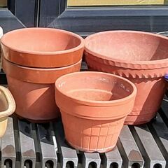 ☆無料　０円 陶器  植木鉢　素焼きなど　盆栽　ガーデニングの画像