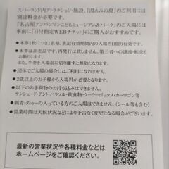ナガシマスパーランド◆ジャンボ海水プール＆遊園地入場チケットの画像