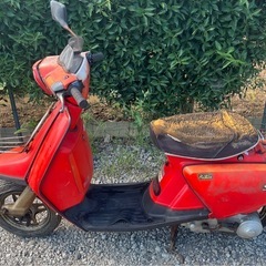 サリアン 不動車 ヤマハ 部品取り ジャンク 相模原発の画像
