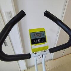 IGNIO フィットネスバイク IG-FB002LX YGの画像