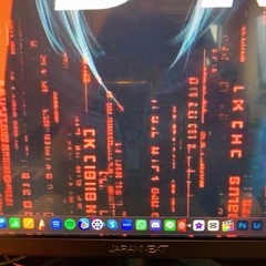 単品も可！大特価特価!ハイグレード大画面+中型PCモニター二 台セットの画像