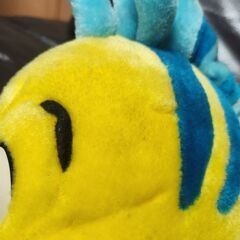 フランダーの画像