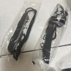 ！決まりました！Switch あつ森の画像