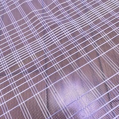 レース生地①の画像