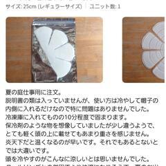 【熱中症対策品アウトドアに】頭ヒンヤリ～👍蒸れない濡れないアイス🧊パッド【国内正規品／商標登録済】の画像