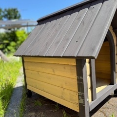 アイリスオーヤマ　犬小屋　半年使用の画像