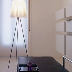FLOS(フロス) ROSY ANGELISの画像
