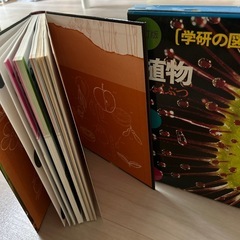 【7/30まで】夏休み自由研究①📗学研の図鑑植物の画像