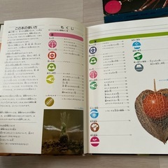 【7/30まで】夏休み自由研究①📗学研の図鑑植物の画像