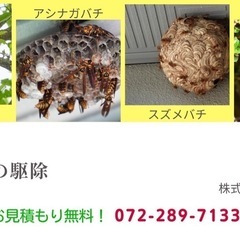 蜂の巣 駆除 - 堺市
