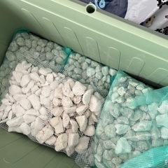 家庭菜園　セットの画像