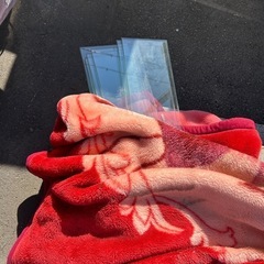 木村商事　コレクションケースの画像